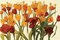 Tulipomania Poster Print by Shirley Novak - Item # VARPDX5703